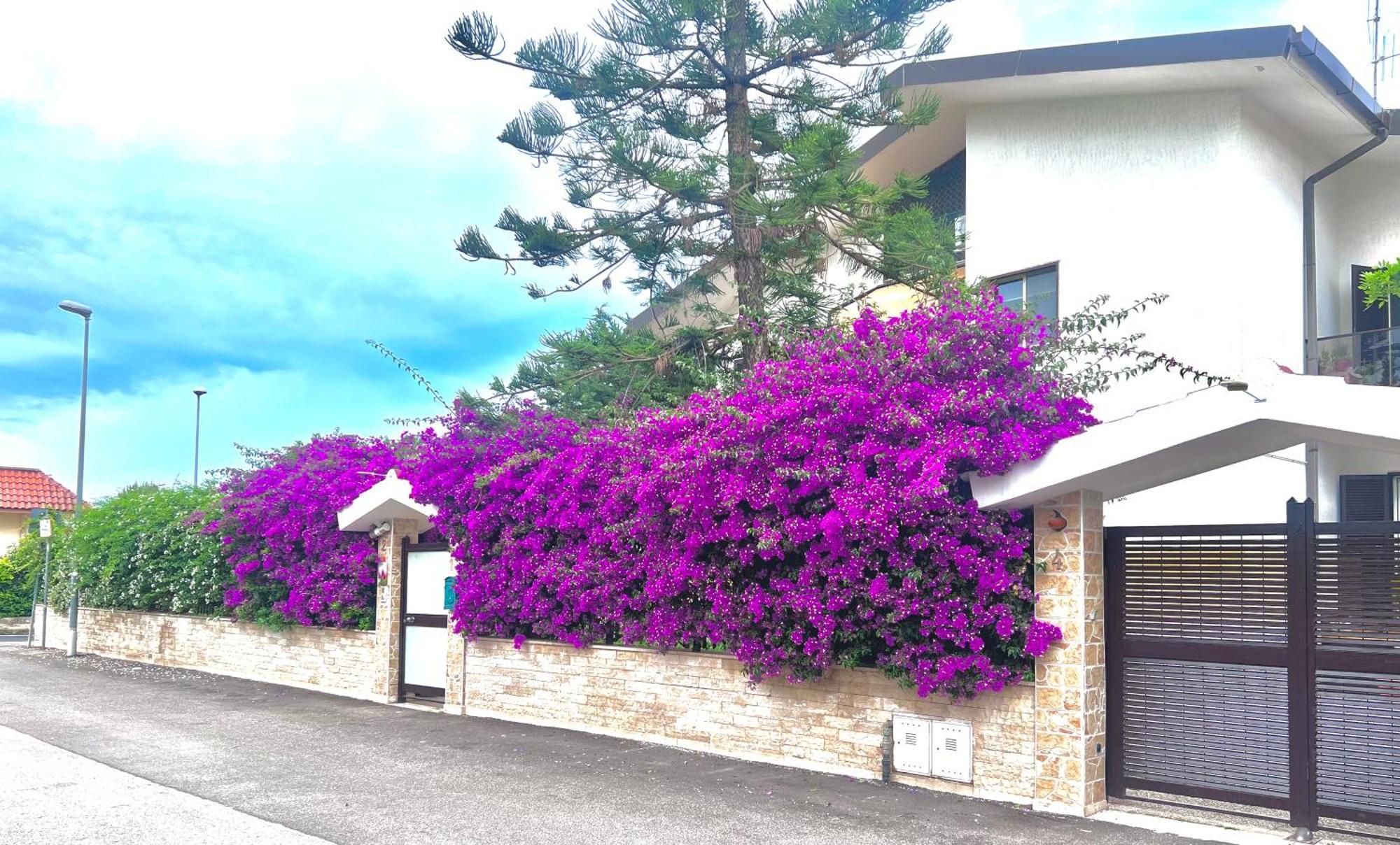 Apartmán Tulipano Rosso Bari Exteriér fotografie